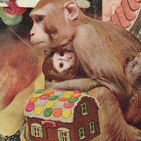 Troubled Monkeys //images.artistrunwebsite.com/gallery/img_2389111501551438_large.jpg?1501580081