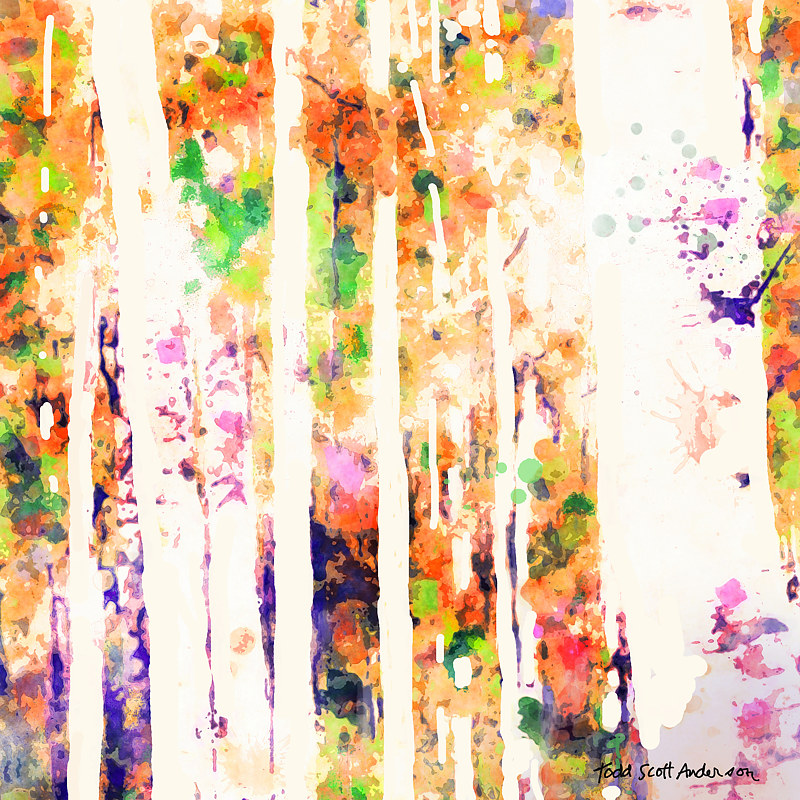 ASPENS 7 M Print ASPENS 7 M by Todd Scott Anderson