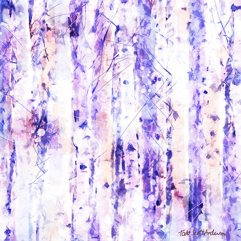 ASPENS 18 M Print ASPENS 18 M by Todd Scott Anderson