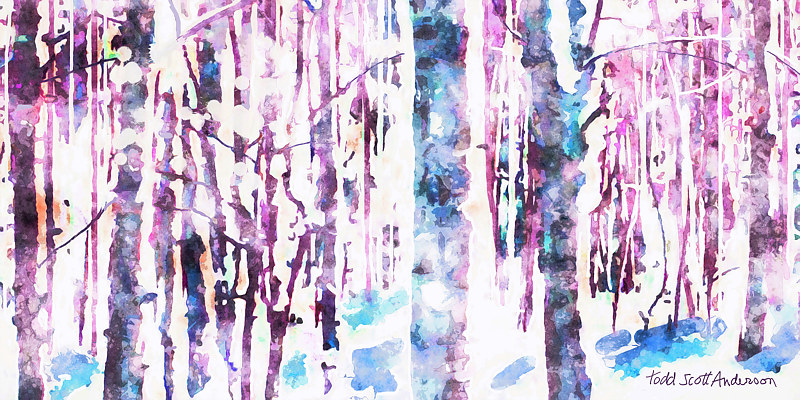 ASPENS 30 M Print ASPENS 30 M by Todd Anderson