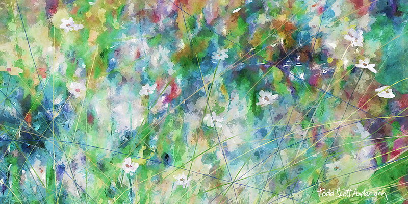 MOUNTAIN MEADOW 21 M Print MOUNTAIN MEADOW 21 M by Todd Scott Anderson