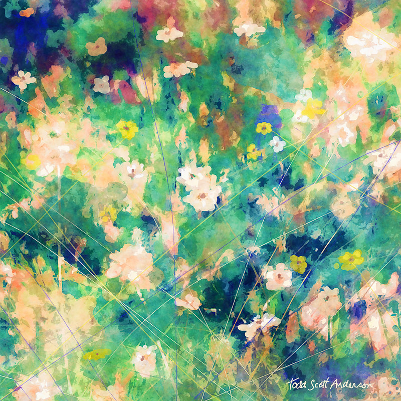 MOUNTAIN MEADOW 9 M Print MOUNTAIN MEADOW 9 M by Todd Scott Anderson