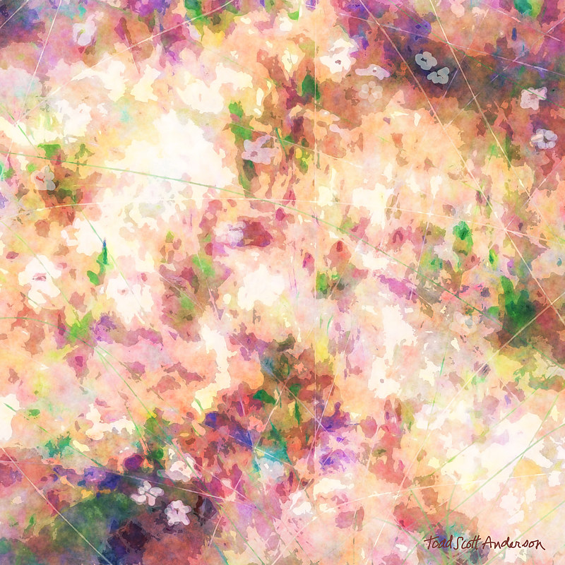 MOUNTAIN MEADOW 5 M Print MOUNTAIN MEADOW 5 M by Todd Scott Anderson