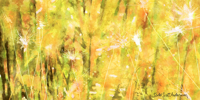 MOUNTAIN MEADOW 2 M Print MOUNTAIN MEADOW 2 M by Todd Scott Anderson