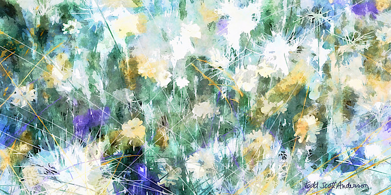 MOUNTAIN WILDFLOWERS 8 M Print MOUNTAIN WILDFLOWERS 8 M by Todd Anderson