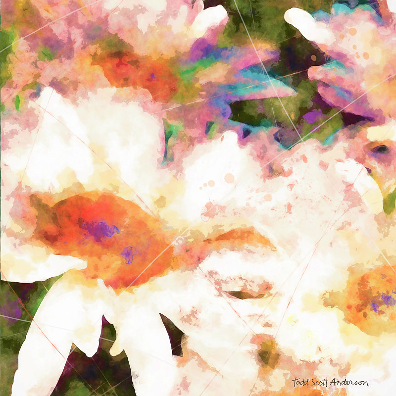 MOUNTAIN WILDFLOWERS 7 M Print MOUNTAIN WILDFLOWERS 7 M by Todd Scott Anderson