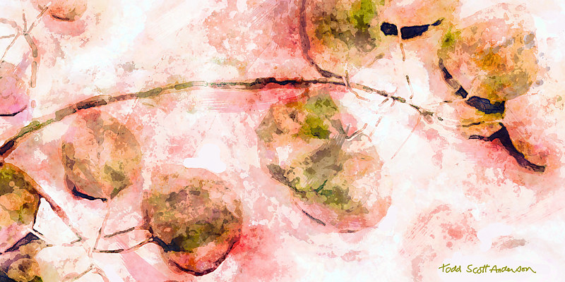 ASPEN LEAVES 4 M Print ASPEN LEAVES 4 M by Todd Scott Anderson