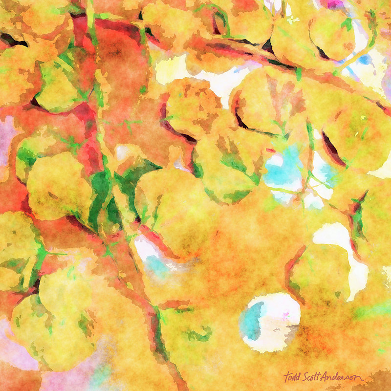 ASPEN LEAVES 8 M1 Print ASPEN LEAVES 8 M1 by Todd Scott Anderson