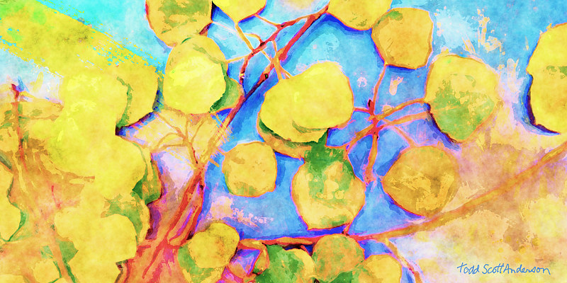 ASPEN LEAVES 10 M Print ASPEN LEAVES 10 M by Todd Scott Anderson
