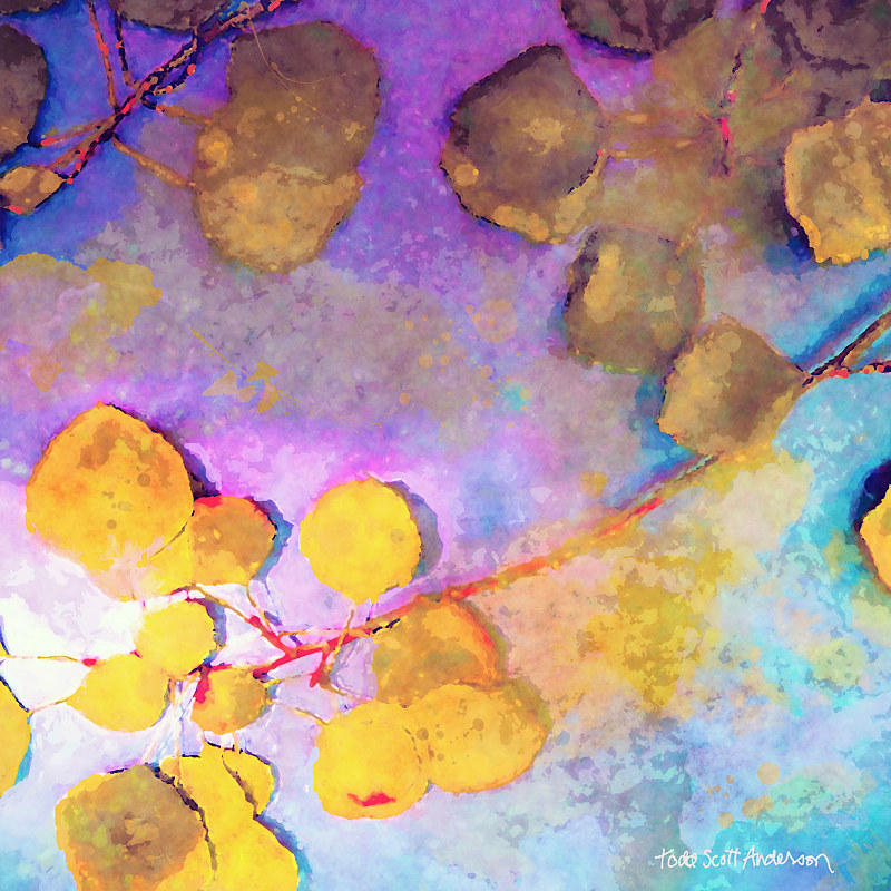 ASPEN LEAVES 17 M Print ASPEN LEAVES 17 M by Todd Scott Anderson