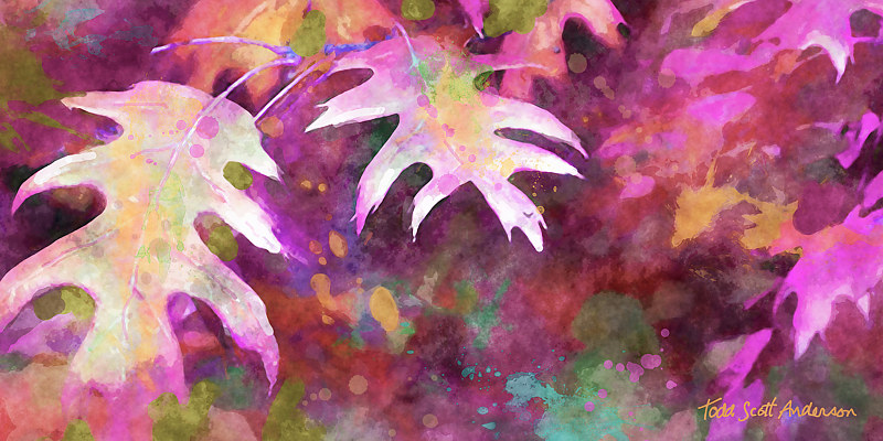 OAK LEAVES 18 M Print OAK LEAVES 18 M by Todd Scott Anderson