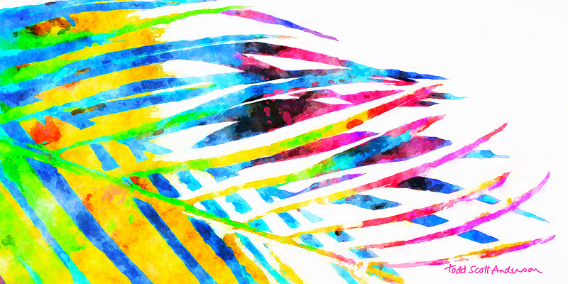 PALM 27 T Print PALM 27 T by Todd Scott Anderson