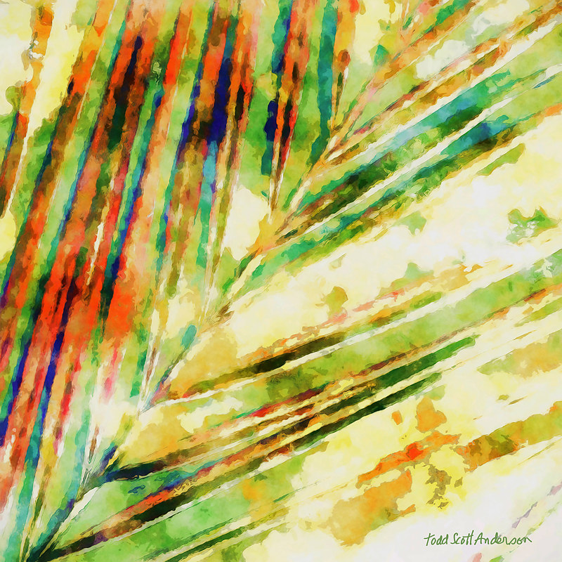 PALM 24 T Print PALM 24 T by Todd Scott Anderson