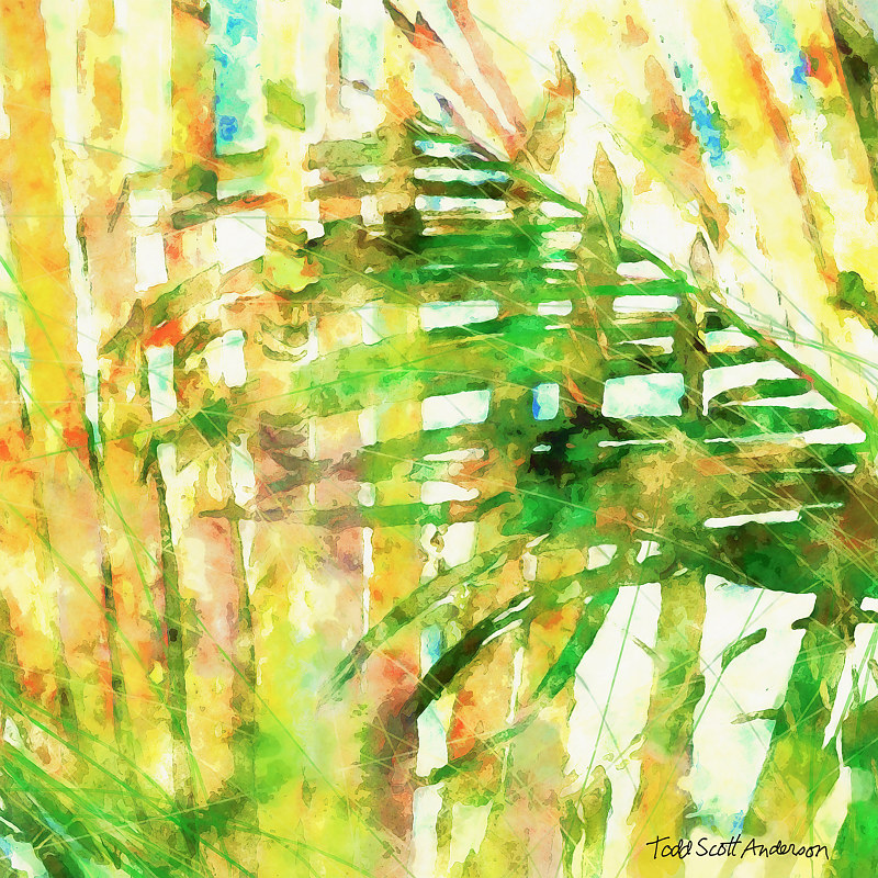 PALM 21 T Print PALM 21 T by Todd Scott Anderson
