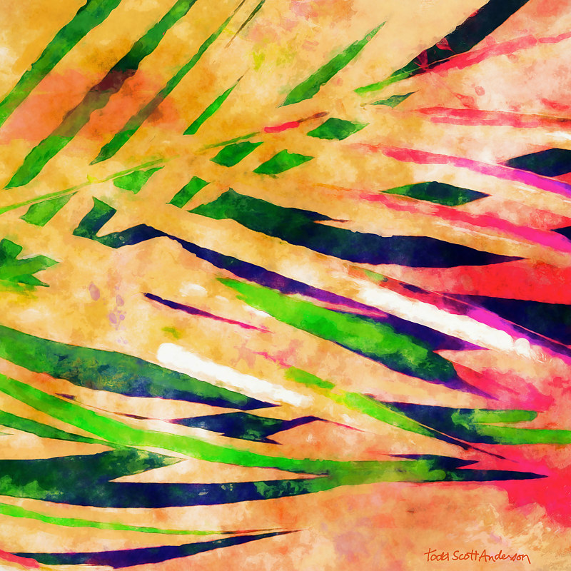 PALM 19 T Print PALM 19 T by Todd Scott Anderson