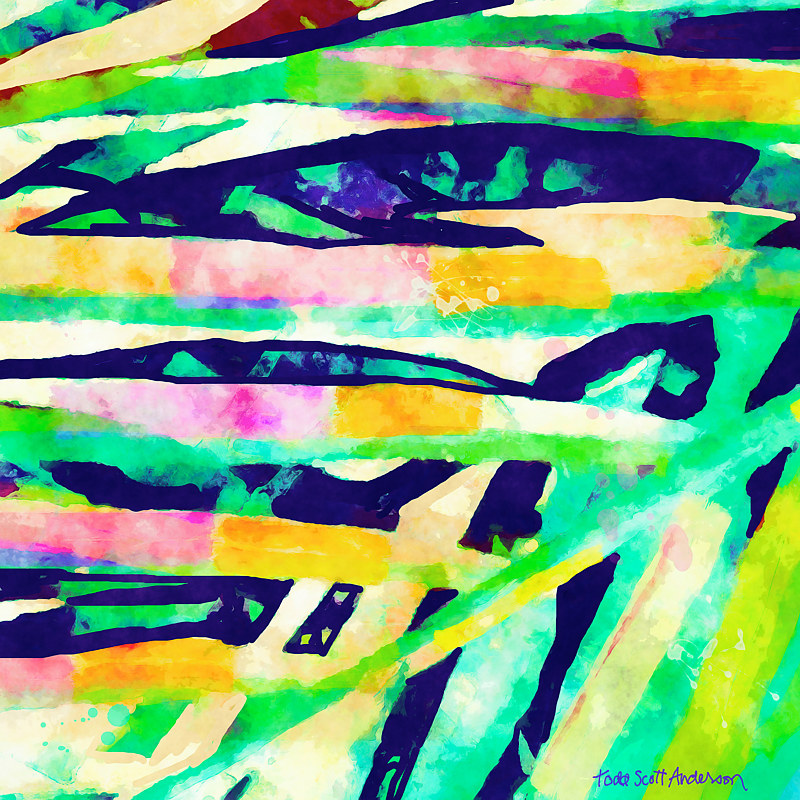 PALM 16 T Print PALM 16 T by Todd Scott Anderson