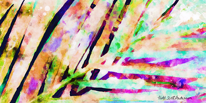 PALM 10 T Print PALM 10 T by Todd Scott Anderson