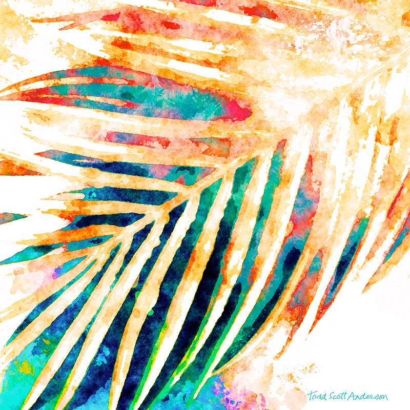 PALM 7 T Print PALM 7 T by Todd Scott Anderson