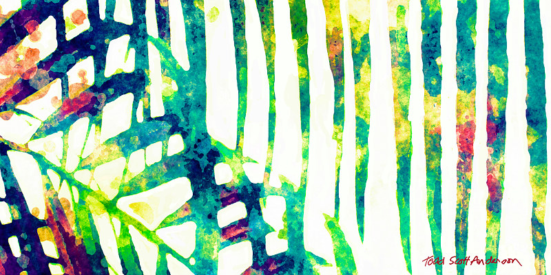 PALM 3 T Print PALM 3 T by Todd Scott Anderson