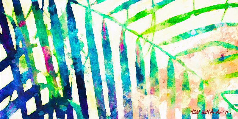 PALM 2 T Print PALM 2 T by Todd Anderson