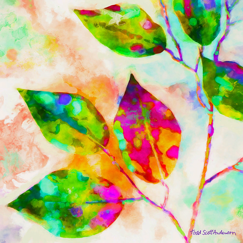 FICUS 23 T Print FICUS 23 T by Todd Scott Anderson