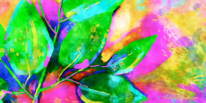 FICUS 10 T Print FICUS 10 T by Todd Scott Anderson