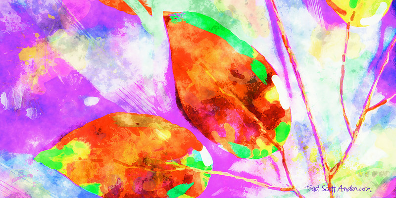 FICUS 7 T Print FICUS 7 T by Todd Scott Anderson