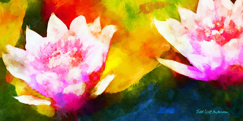 WATER LILY 20 T Print WATER LILY 20 T by Todd Scott Anderson