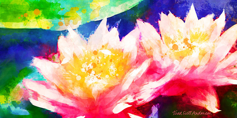 WATER LILY 9 T Print WATER LILY 9 T by Todd Scott Anderson