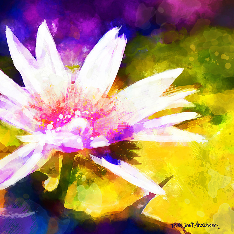 WATER LILY 4 T Print WATER LILY 4 T by Todd Anderson