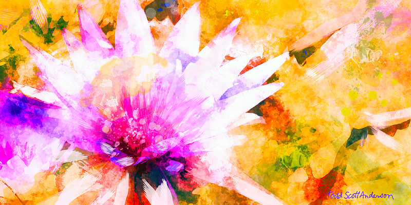 WATER LILY 2 T Print WATER LILY 2 T by Todd Scott Anderson