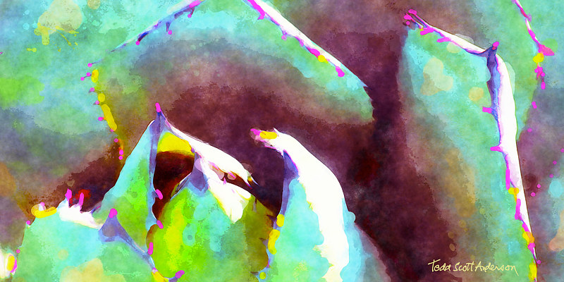 SONORA AGAVE 18 D Print SONORA AGAVE 18 D by Todd Scott Anderson