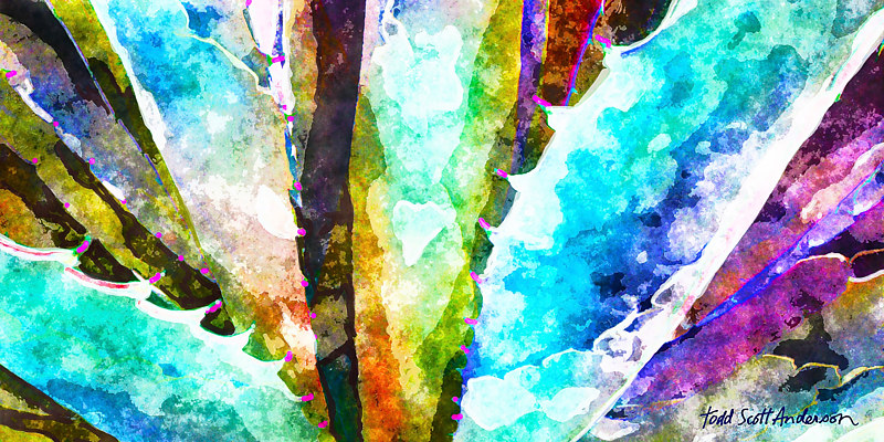MOJAVE AGAVE 10 D Print MOJAVE AGAVE 10 D by Todd Scott Anderson