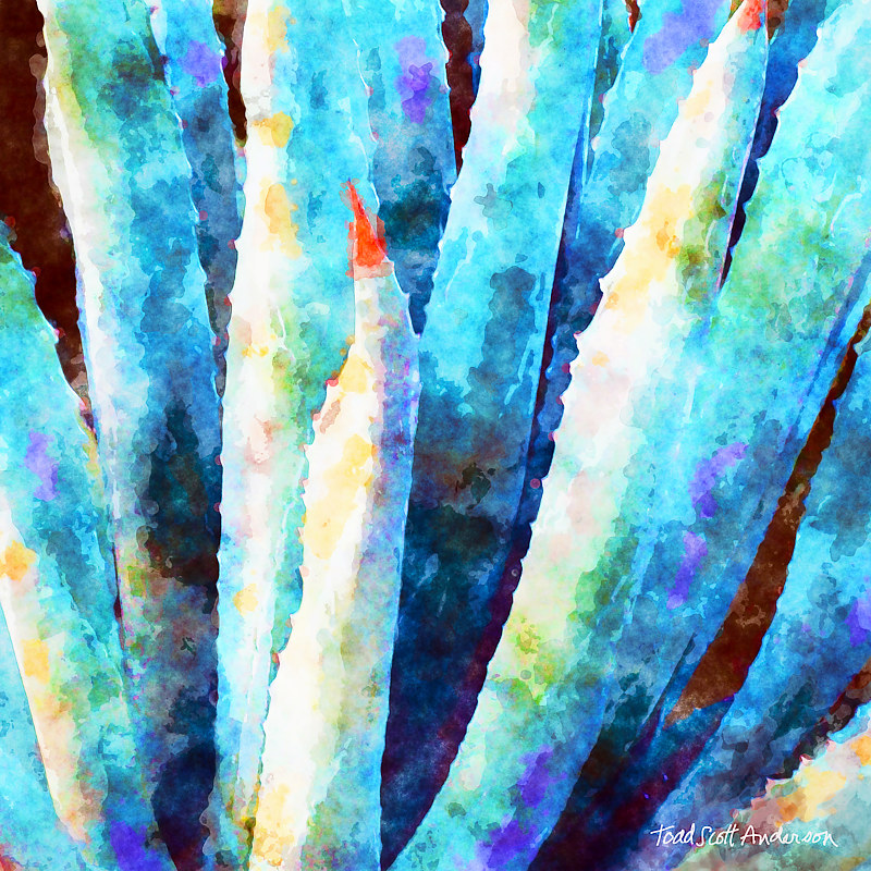 MOJAVE AGAVE 4 D Print MOJAVE AGAVE 4 D by Todd Scott Anderson