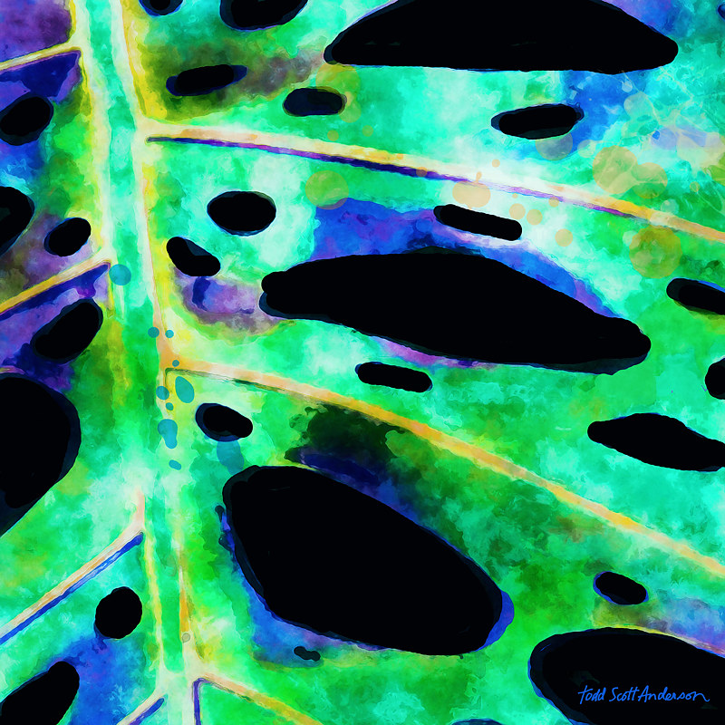 TROPIC FLORA 40 T Print TROPIC FLORA 40 T by Todd Scott Anderson