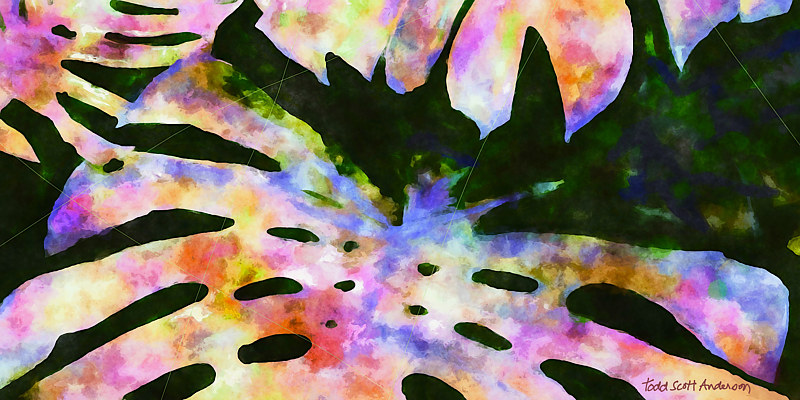 TROPIC FLORA 25 T Print TROPIC FLORA 25 T by Todd Anderson