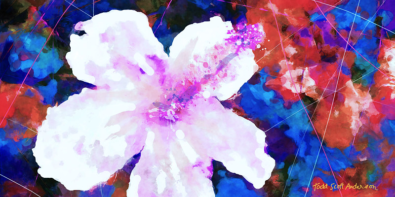 TROPIC FLORA 24 T Print TROPIC FLORA 24 T by Todd Scott Anderson