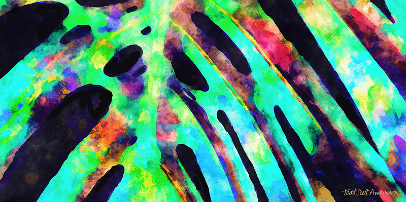 TROPIC FLORA 22 T Print TROPIC FLORA 22 T by Todd Scott Anderson