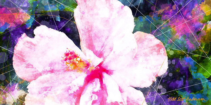 TROPIC FLORA 14 T Print TROPIC FLORA 14 T by Todd Scott Anderson