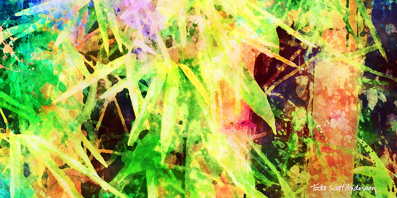 TROPIC FLORA 7 T Print TROPIC FLORA 7 T by Todd Scott Anderson