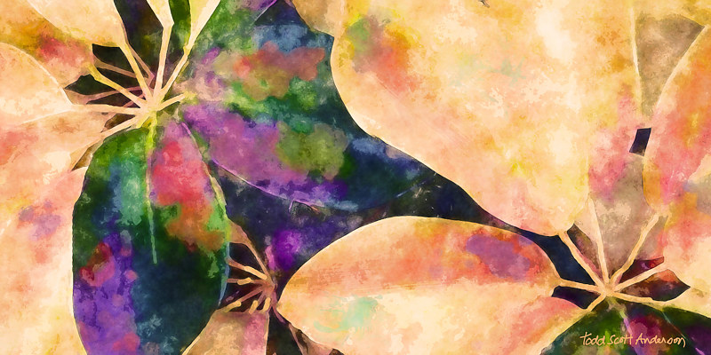 TROPIC FLORA 6 T Print TROPIC FLORA 6 T by Todd Anderson