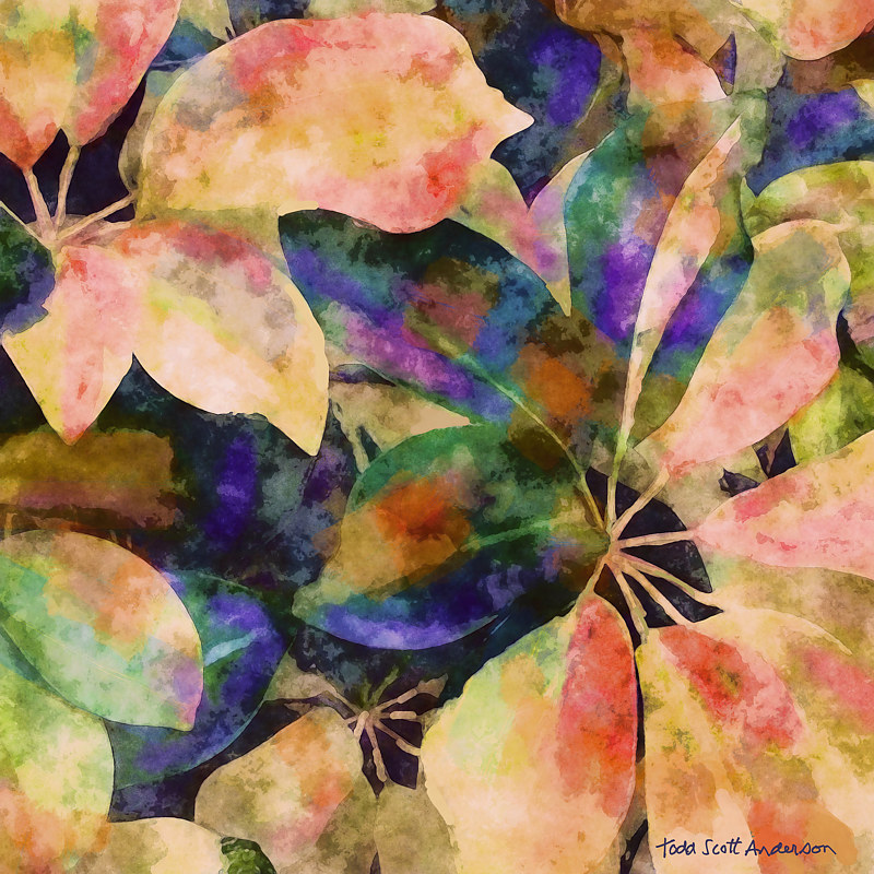 TROPIC FLORA 4 T Print TROPIC FLORA 4 T by Todd Scott Anderson