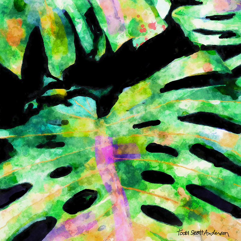 TROPIC FLORA 2 T Print TROPIC FLORA 2 T by Todd Anderson