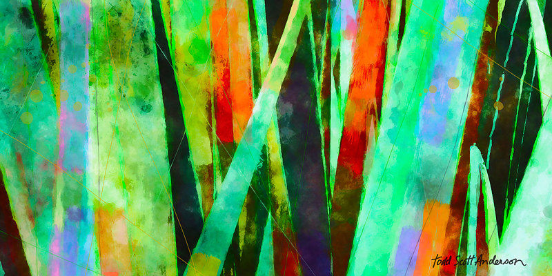 TROPIC FLORA 15 T Print TROPIC FLORA 15 T by Todd Scott Anderson