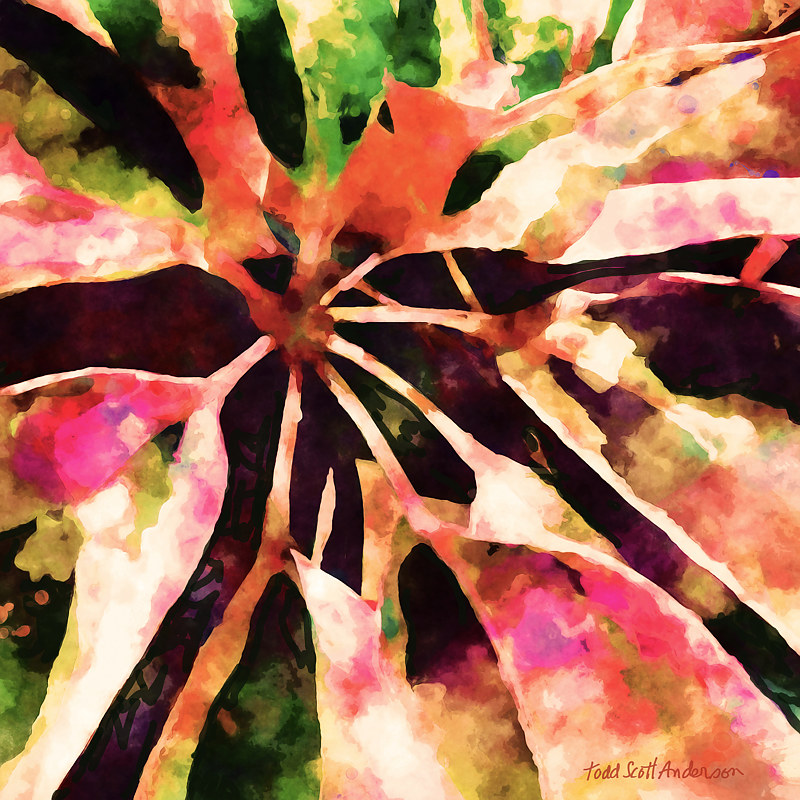 TROPIC FLORA 19 T Print TROPIC FLORA 19 T by Todd Scott Anderson