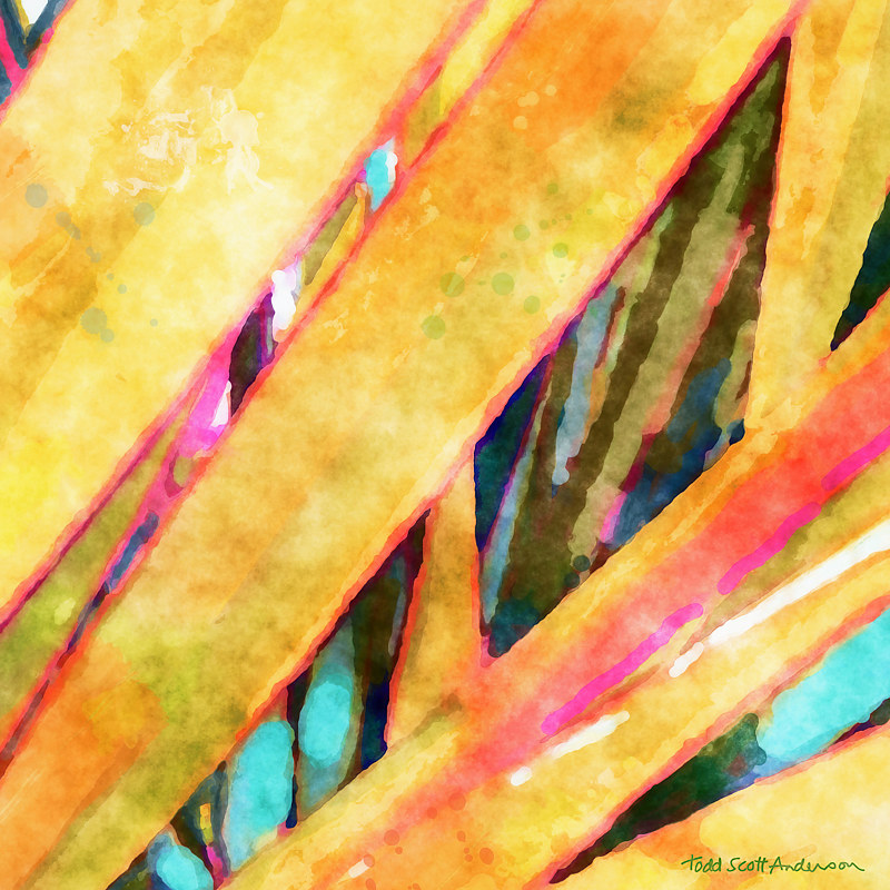 MOJAVE FLORA 8 D Print MOJAVE FLORA 8 D by Todd Scott Anderson