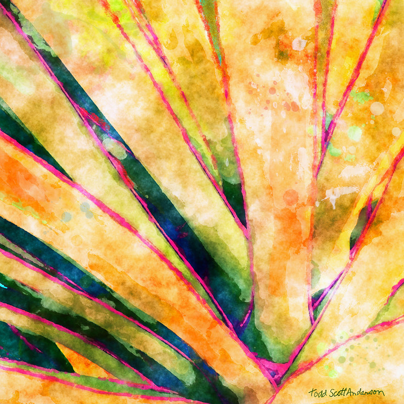 MOJAVE FLORA 7 D Print MOJAVE FLORA 7 D by Todd Scott Anderson