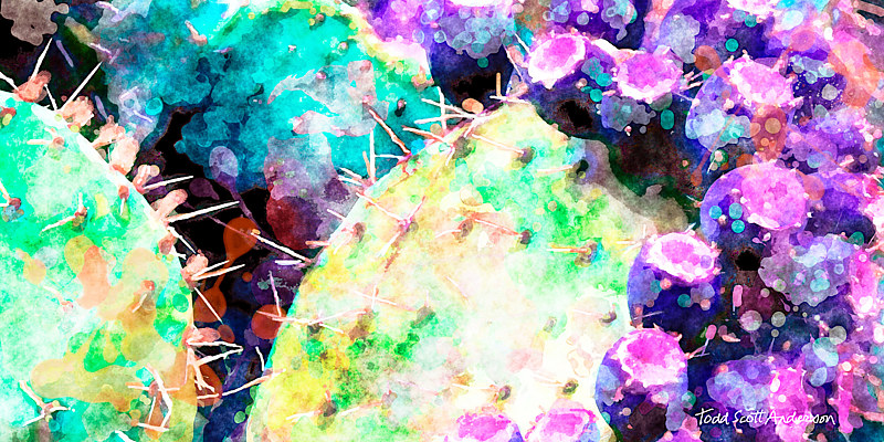 MOJAVE CACTUS 11 D copy Print MOJAVE CACTUS 11 D copy by Todd Scott Anderson