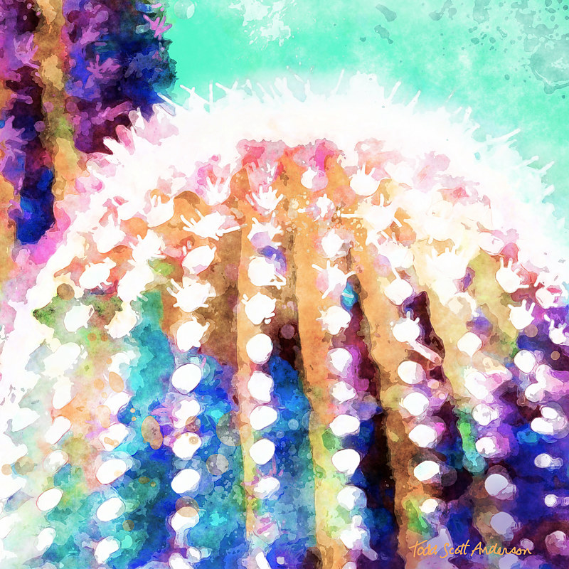 MOJAVE CACTUS 20 D Print MOJAVE CACTUS 20 D by Todd Scott Anderson