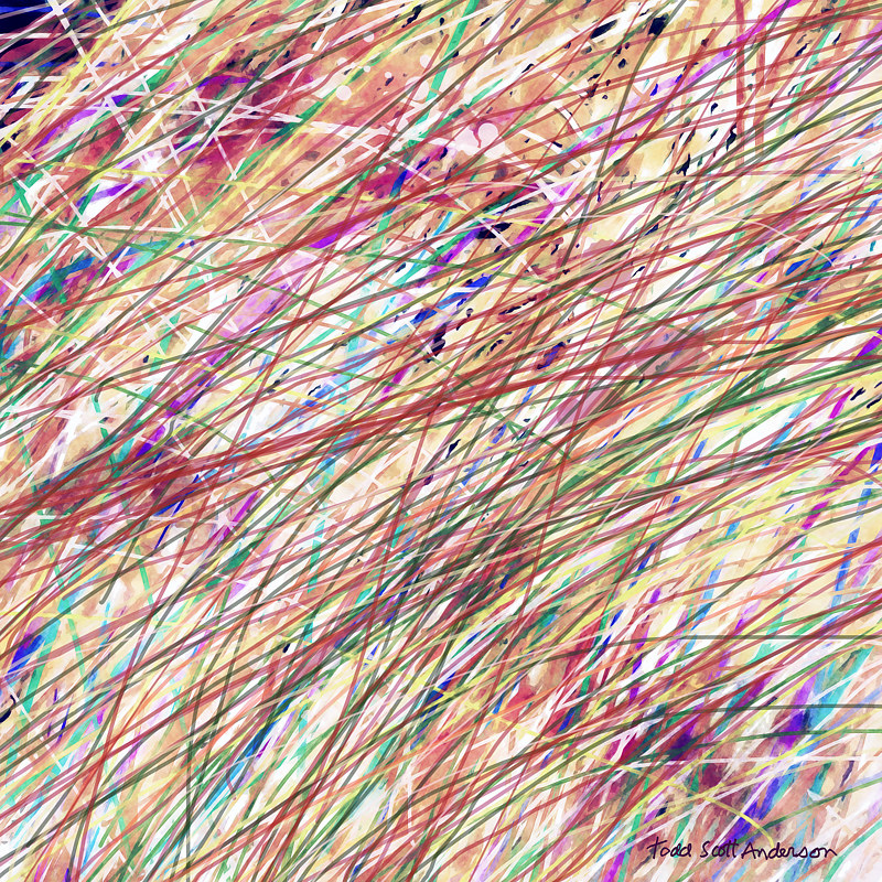 PRAIRIE GRASS 24 P Print PRAIRIE GRASS 24 P by Todd Scott Anderson